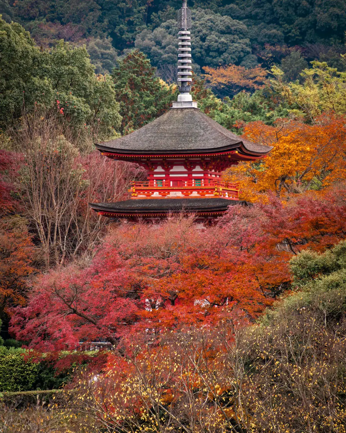 A Kyoto pagoda surrounded by red and orange autumn leaves.
